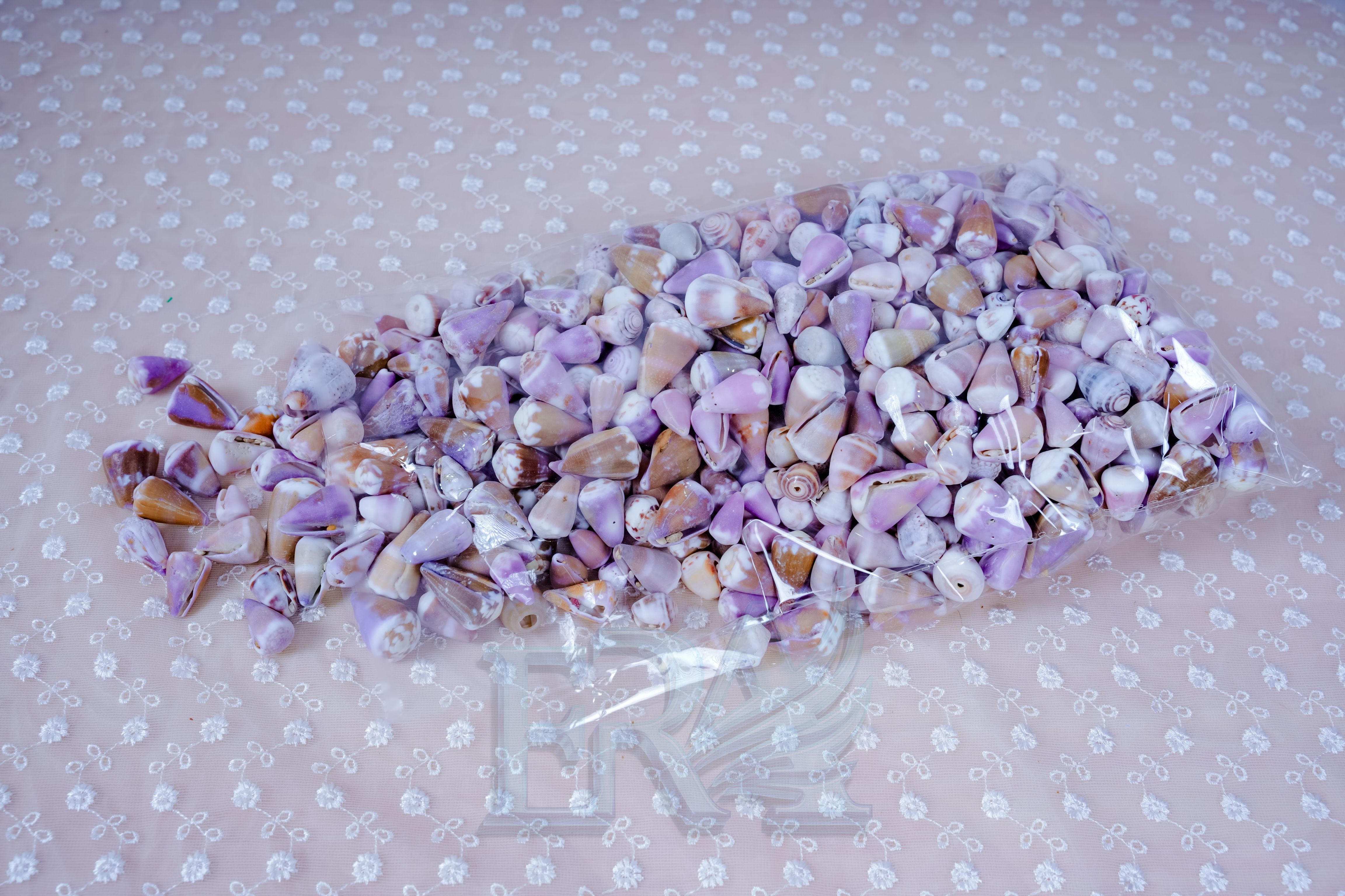 Vỏ Ốc Nga Tím 500g